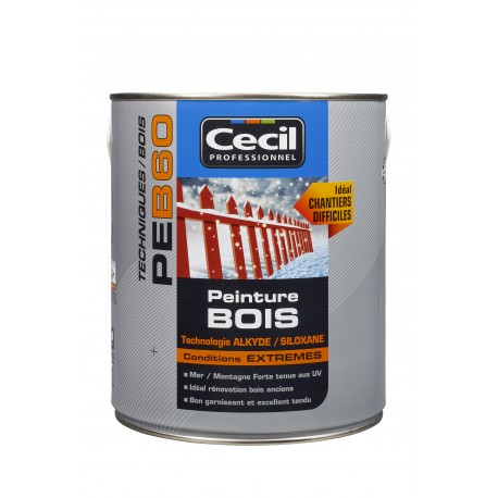 PEINTURE BOIS - CONDITIONS EXTRÊMES - PE B60