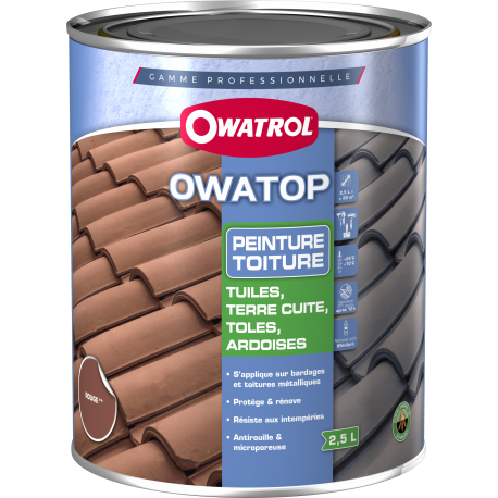 OWATOP PEINTURE TOITURE GRIS ANTHRACITE RAL 7016 (10L)