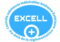 Logo Excell 2015